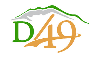  D49 Logo 